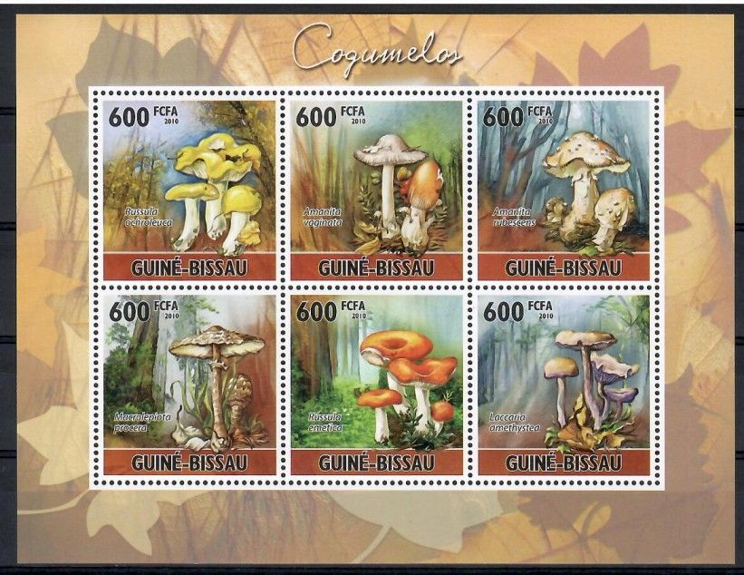Znaczek Gwinea Bissau 2010 Mi ark 5159-5164 Czyste **