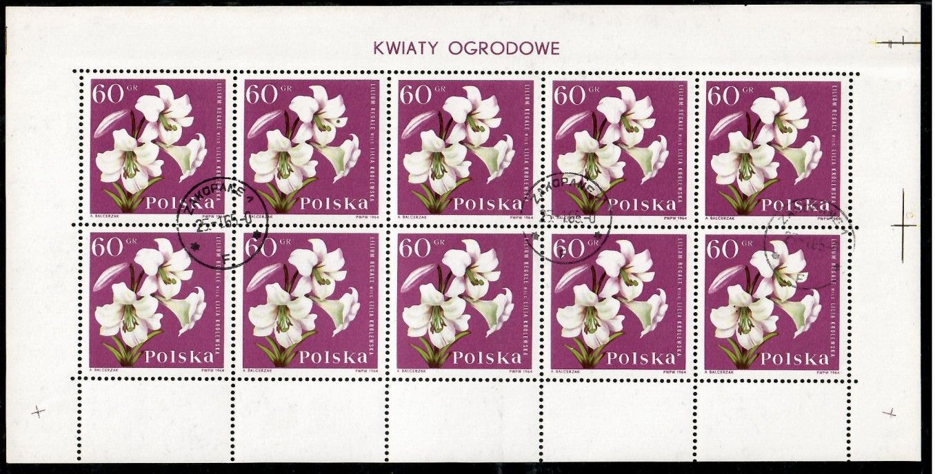 Znaczek Polska 1964 Mi abo ark 1545 Fi ark 1396 Stemplowane