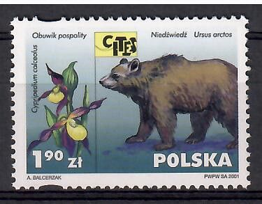 Znaczek Polska 2001 Mi 3899 Czyste **