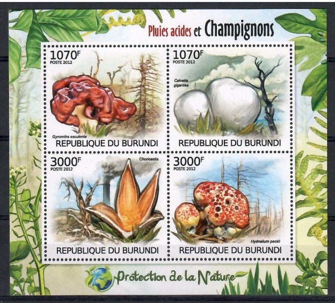 Znaczek Burundi 2012 Mi ark 2530-2533 Czyste **