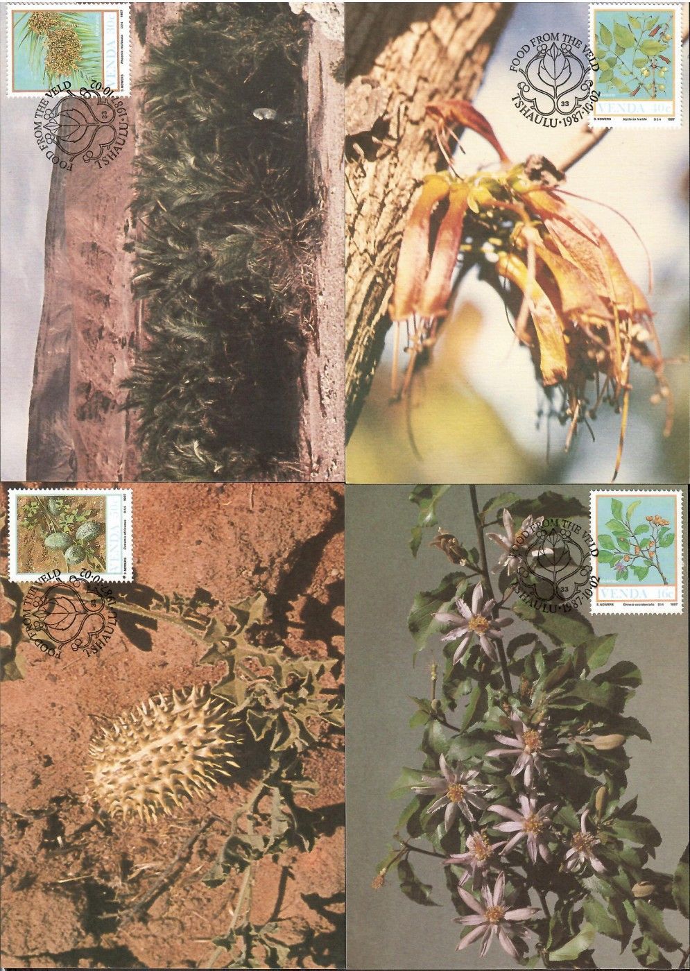 Znaczek Venda 1987 Mi 163-166 Karta Max