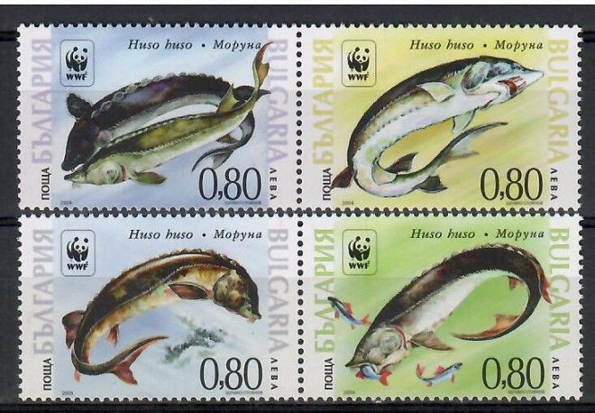 Znaczek Bułgaria 2004 Mi 4678-4681 Czyste **