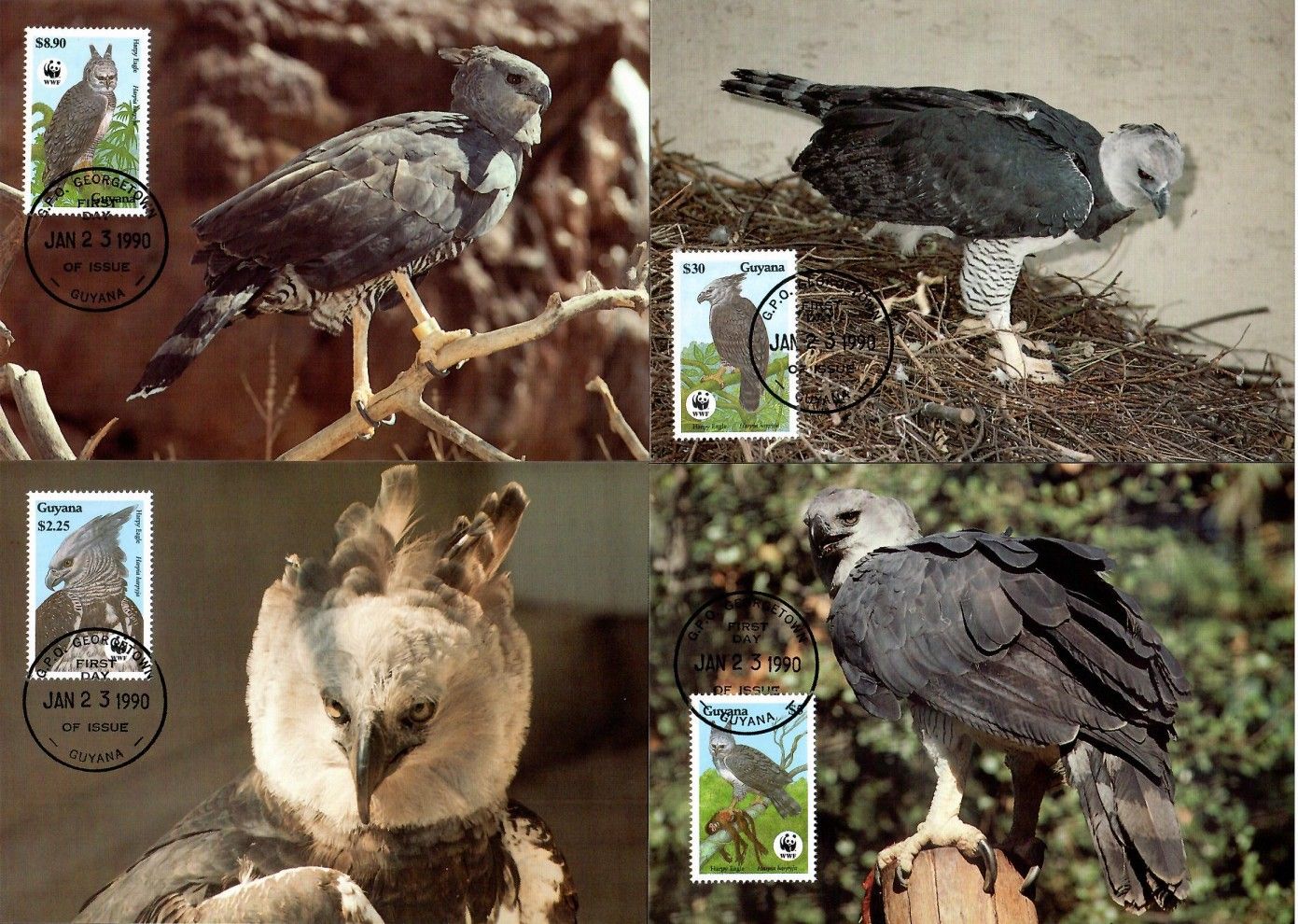 Znaczek Gujana 1990 Mi 3077-3080 Karta Max