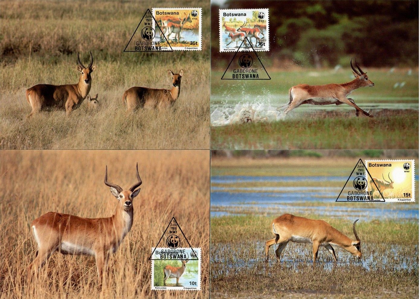 Znaczek Botswana 1988 Mi 431-434 Karta Max