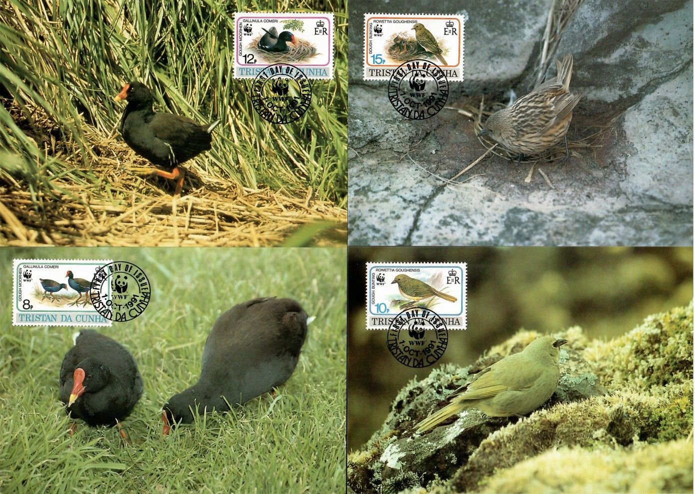 Znaczek Tristan da Cunha 1991 Mi 513-516 Karta Max
