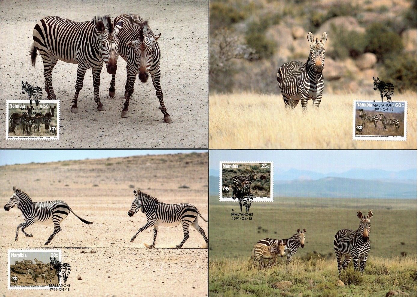 Znaczek Namibia 1991 Mi 702-705 Karta Max