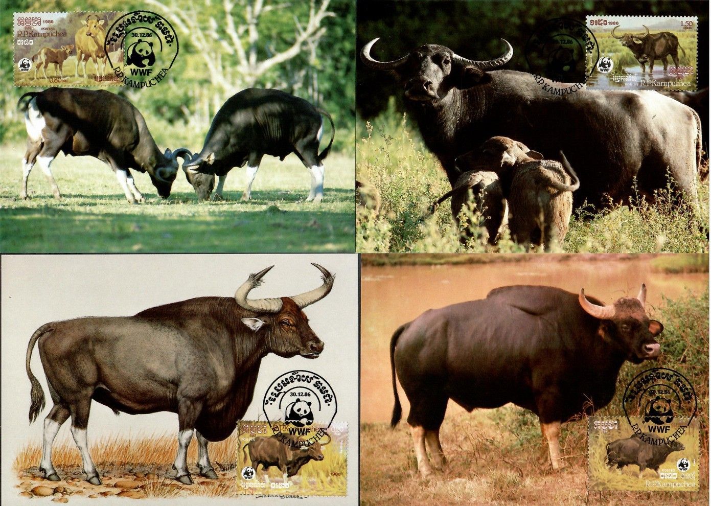 Znaczek Kambodża 1986 Mi 823-826 Karta Max