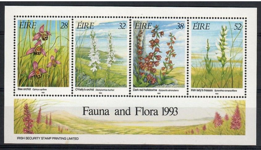 Znaczek Irlandia 1993 Mi bl 10I Czyste **