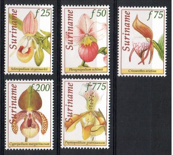 Znaczek Surinam 1997 Mi 1603-1607 Czyste **