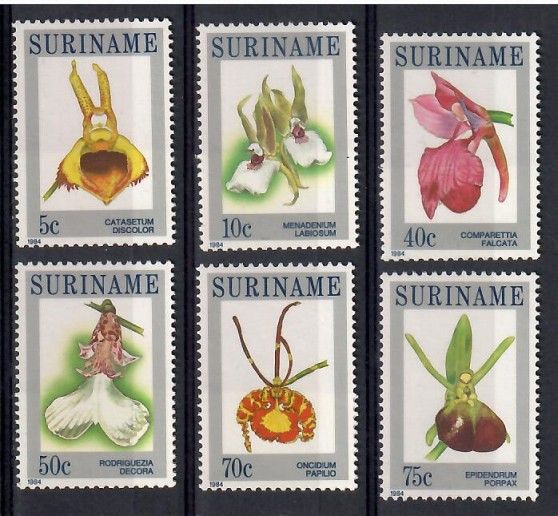 Znaczek Surinam 1984 Mi 1065-1070 Czyste **