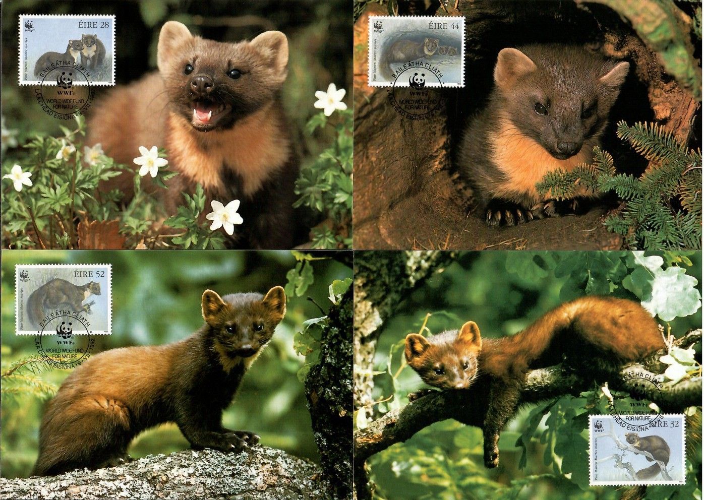 Znaczek Irlandia 1992 Mi 798-801 Karta Max