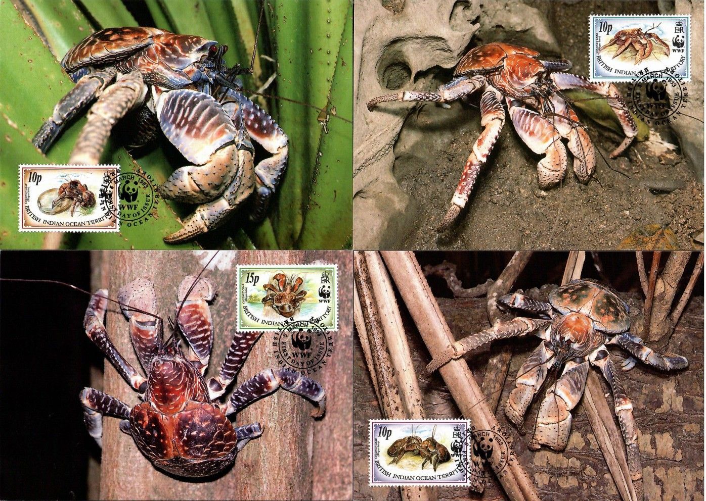 Znaczek Brytyjskie Terytorium Oceanu Indyjskiego 1993 Mi 132-135 Karta Max