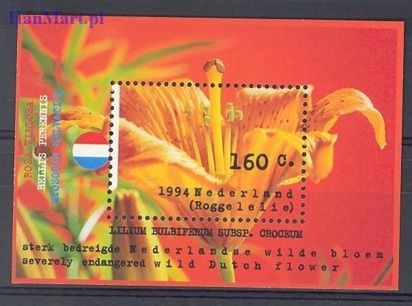 Znaczek Holandia 1994 Mi bl 40 Czyste **