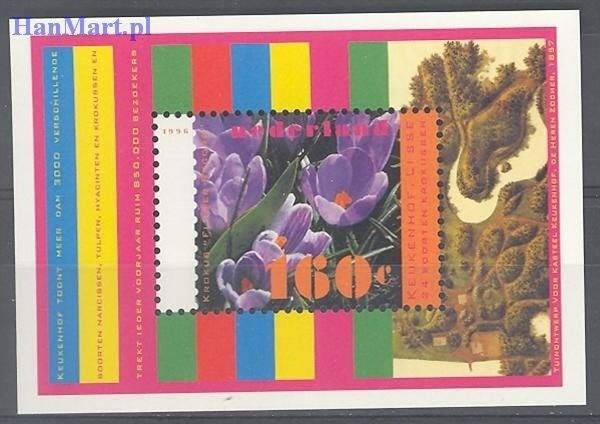 Znaczek Holandia 1996 Mi bl 47 Czyste **