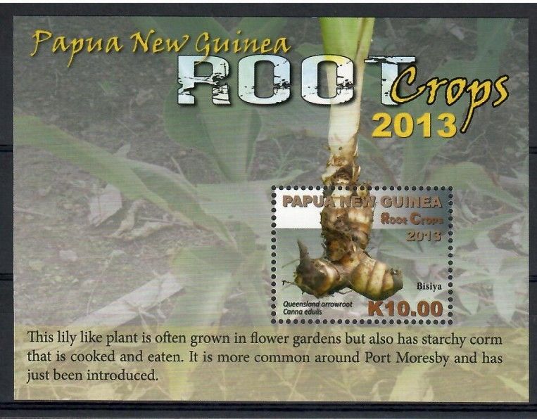 Znaczek Papua Nowa Gwinea 2013 Mi bl 162 Czyste **