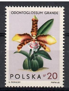 Znaczek Polska 1965 Mi 1612 Fi 1463 Czyste **