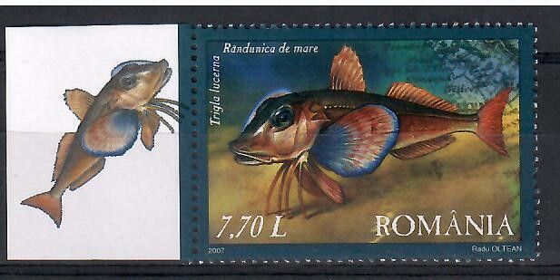 Znaczek Rumunia 2007 Mi 6166 Czyste **