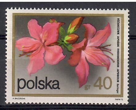 Znaczek Polska 1972 Mi 2214 Fi 2067 Czyste **