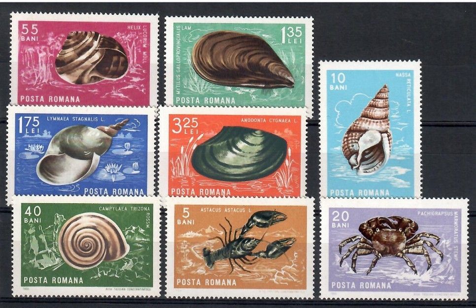 Znaczek Rumunia 1966 Mi 2544-2551 Czyste **