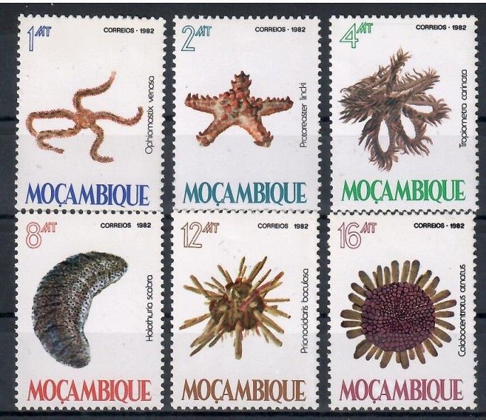 Znaczek Mozambik 1982 Mi 913-918 Czyste **
