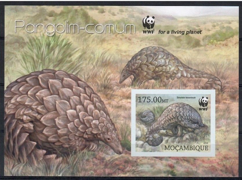 Znaczek Mozambik 2013 Mi bl 737B Czyste **