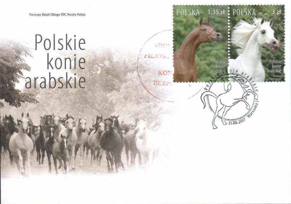 Znaczek Polska 2007 Mi 4323-4324 Fi 4173-4174 FDC