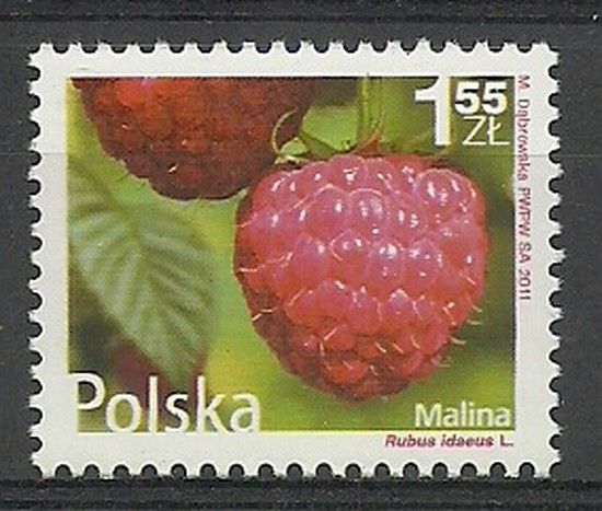 Znaczek Polska 2011 Mi 4546 Czyste **