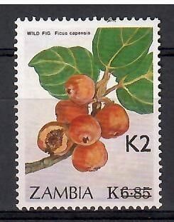 Znaczek Zambia 1991 Mi 580 Czyste **