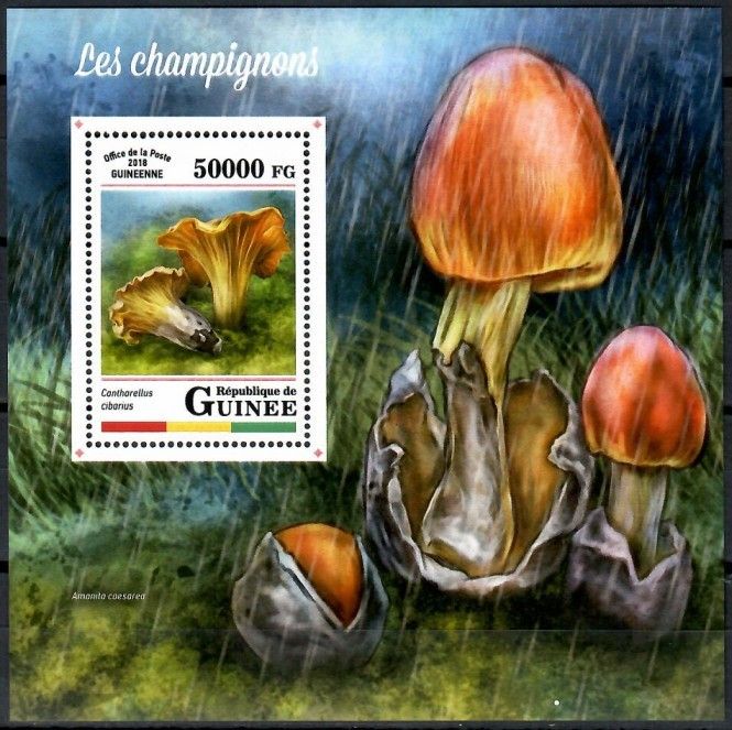 Znaczek Gwinea 2018 Mi bl 2852 Czyste **