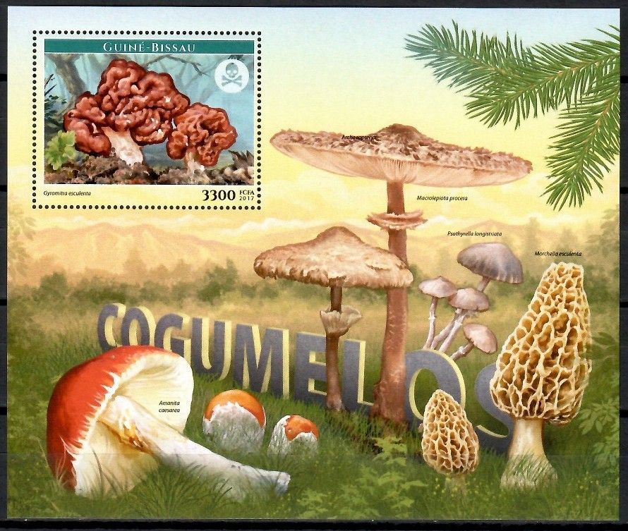 Znaczek Gwinea Bissau 2017 Mi bl 1580 Czyste **