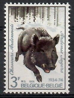 Znaczek Belgia 1974 Mi 1785 Czyste **