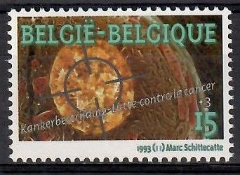 Znaczek Belgia 1993 Mi 2577 Czyste **