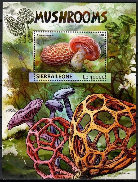 Znaczek Sierra Leone 2017 Mi bl 1176 Czyste **