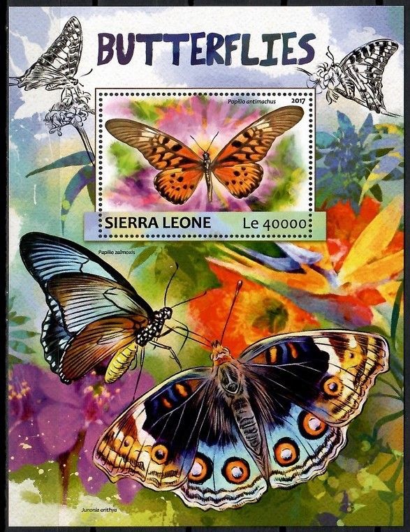 Znaczek Sierra Leone 2017 Mi bl 1178 Czyste **