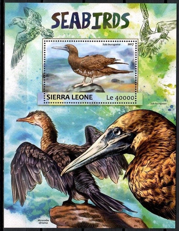 Znaczek Sierra Leone 2017 Mi b l1183 Czyste **