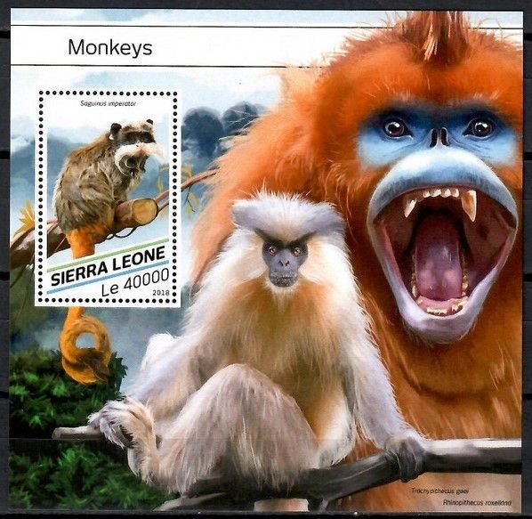Znaczek Sierra Leone 2018 Mi bl 1482 Czyste **
