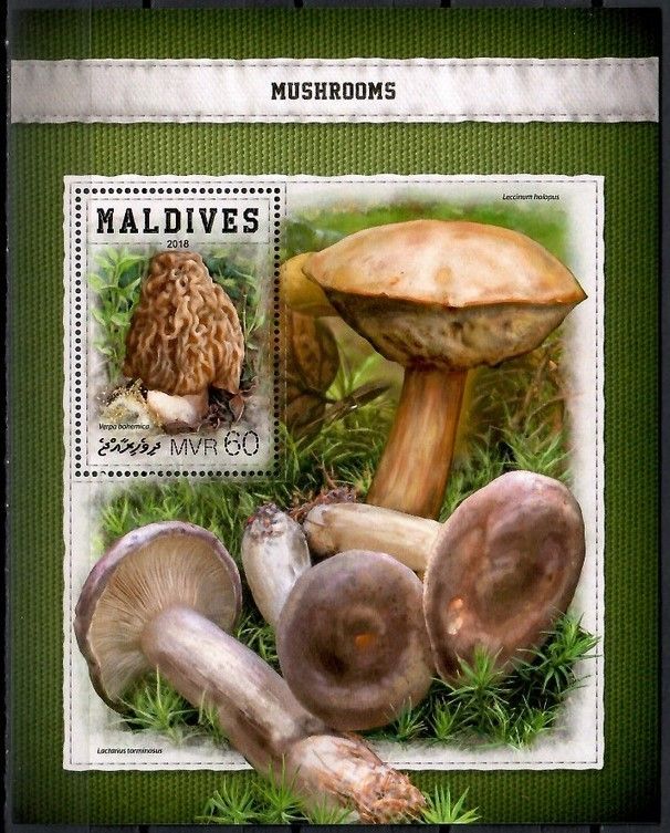 Znaczek Malediwy 2018 Mi bl 1162 Czyste **