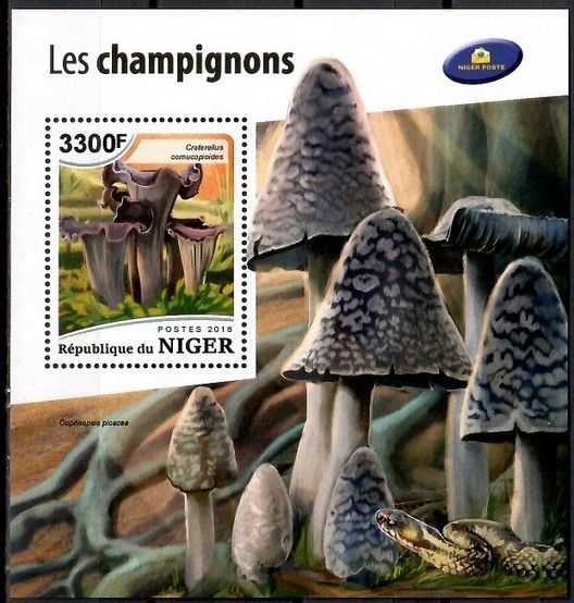 Znaczek Niger 2018 Mi bl 902 Czyste **