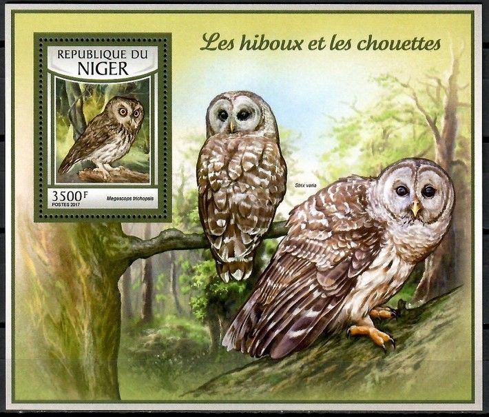 Znaczek Niger 2017 Mi bl 655 Czyste **
