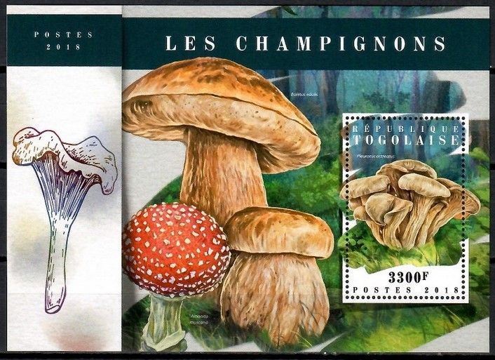 Znaczek Togo 2018 Mi bl 1546 Czyste **