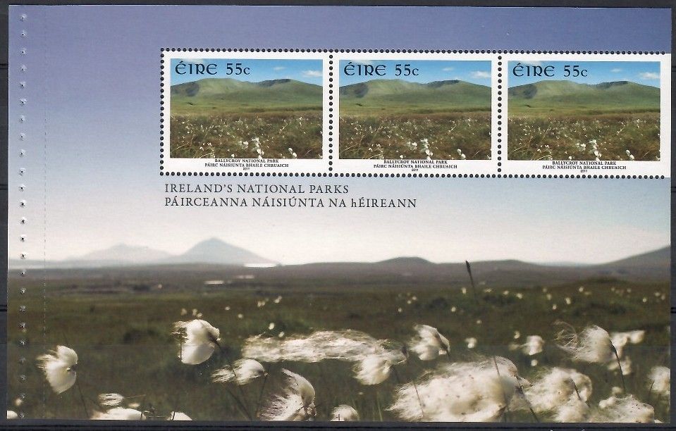 Znaczek Irlandia 2011 Mi h-blatt 1974 Czyste **