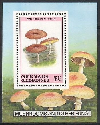 Znaczek Grenada i Grenadyny 1989 Mi bl 174 Czyste **