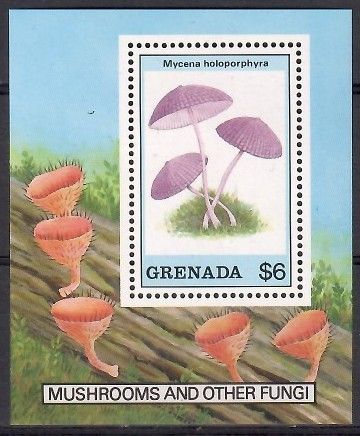 Znaczek Grenada 1989 Mi bl 227 Czyste **