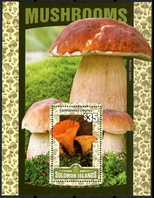 Znaczek Wyspy Salomona 2016 Mi bl 483 Czyste **