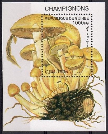 Znaczek Gwinea 1995 Mi bl 500 Czyste **