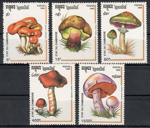 Znaczek Kambodża 1992 Mi 1318-1322 Czyste **