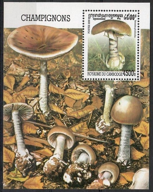 Znaczek Kambodża 2000 Mi bl 268 Czyste **