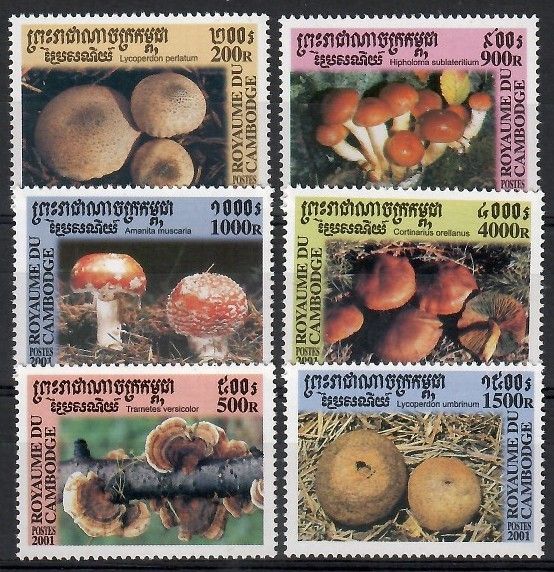 Znaczek Kambodża 2001 Mi 2169-2174 Czyste **