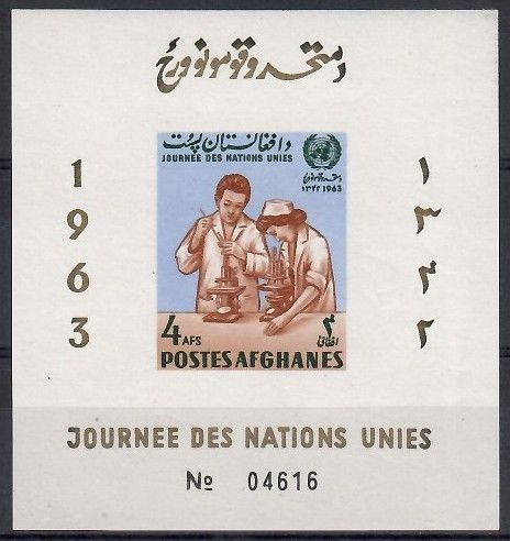 Znaczek Afganistan 1964 Mi bl 53B Czyste **