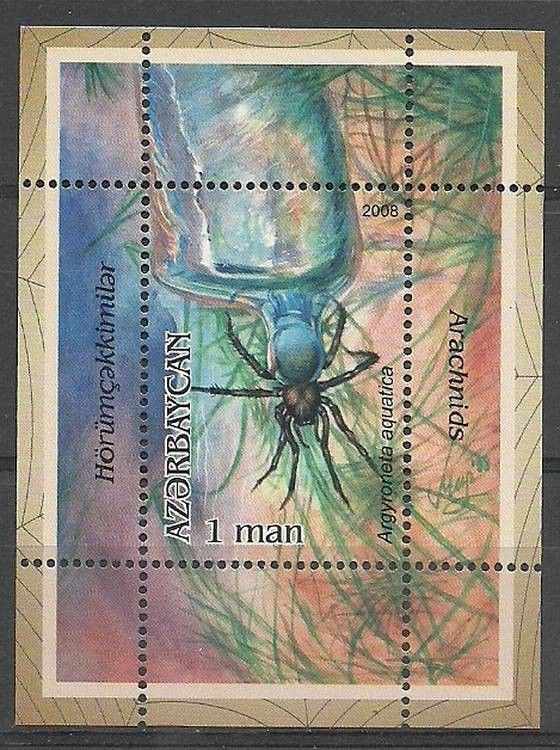 Znaczek Azerbejdżan 2008 Mi bl 83 Czyste **